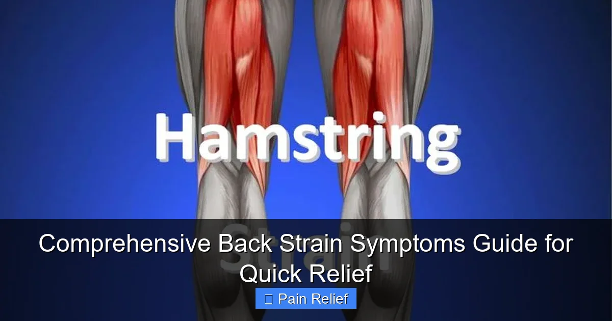 Comprehensive Back Strain Symptoms Guide for Quick Relief