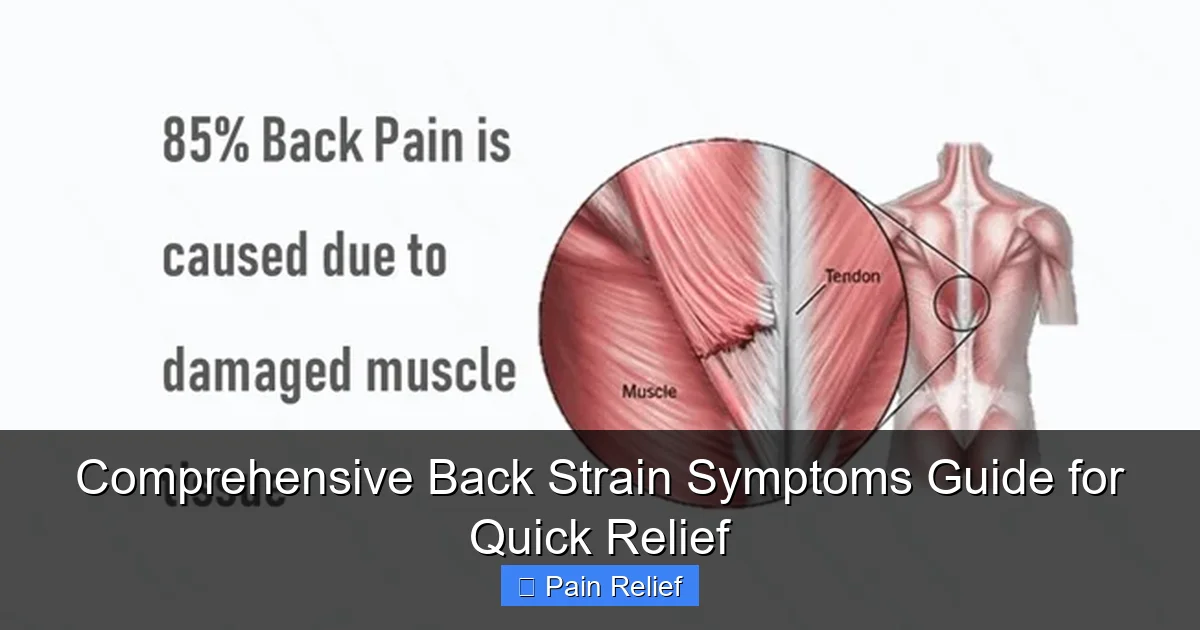 Comprehensive Back Strain Symptoms Guide for Quick Relief