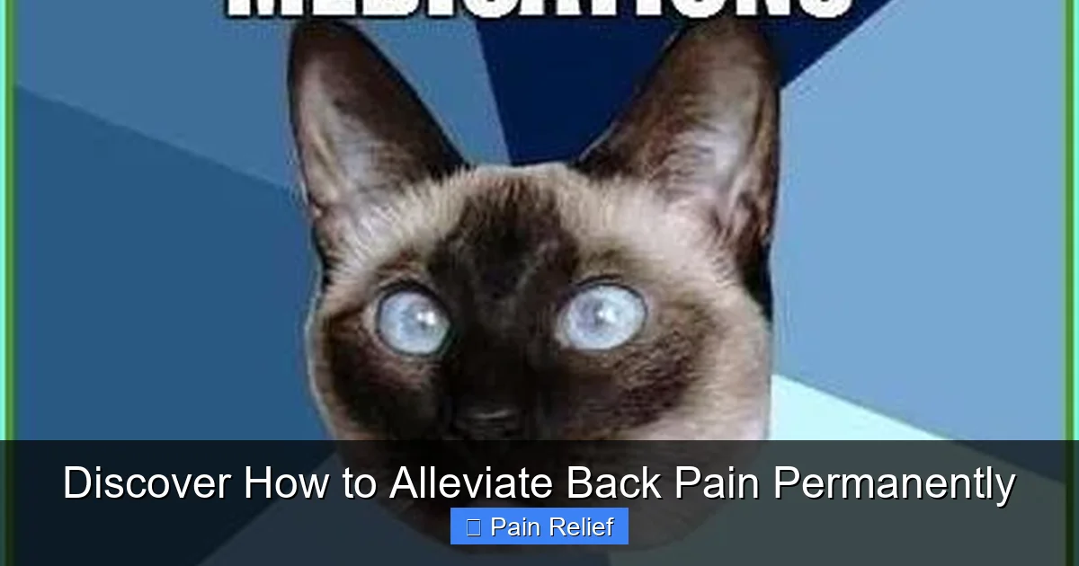 Discover How to Alleviate Back Pain Permanently