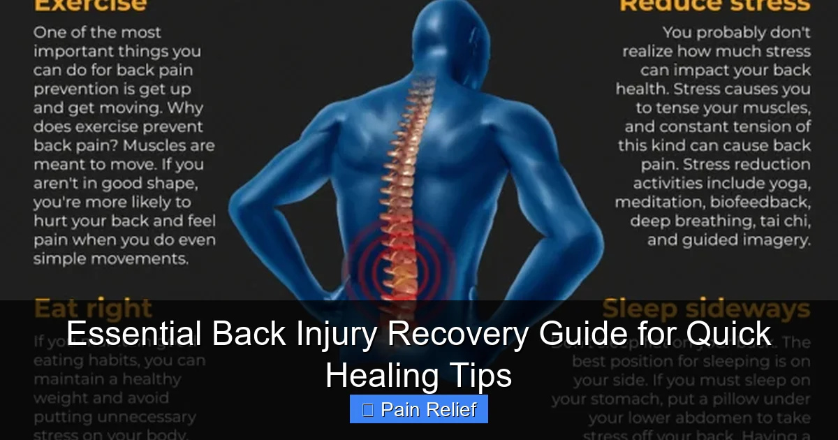 Essential Back Injury Recovery Guide for Quick Healing Tips