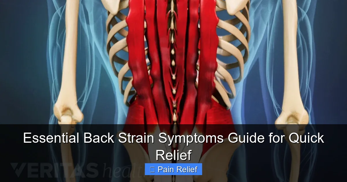 Essential Back Strain Symptoms Guide for Quick Relief