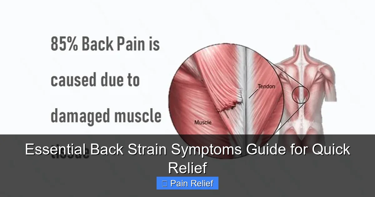 Essential Back Strain Symptoms Guide for Quick Relief
