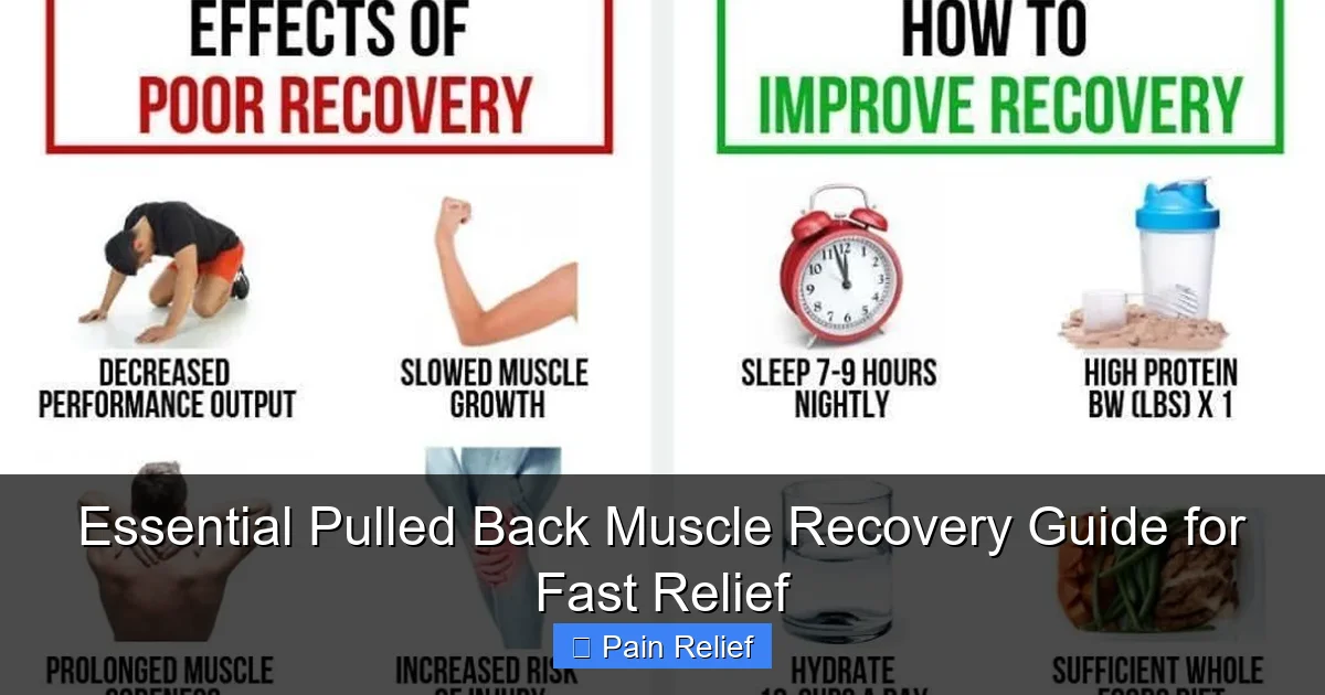 Essential Pulled Back Muscle Recovery Guide for Fast Relief