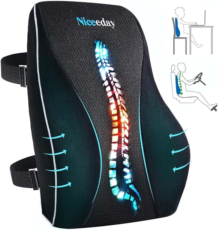 Niceeday Memory Foam Lumbar Support Pillow for Office and Car, Ergonom