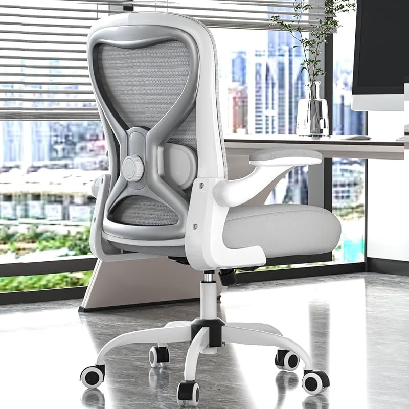 Ergonomic Office Desk Chair with Lumbar Support, Thick Seat Cushion, a