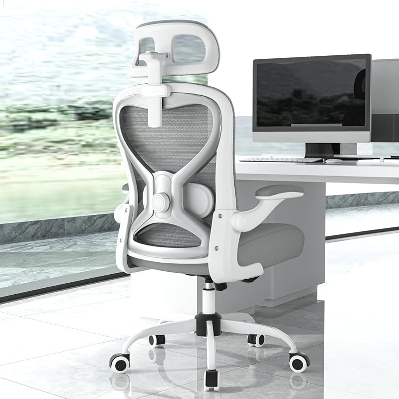 Ergonomic Office Chair for Back and Neck Pain Relief with 2D Lumbar Su