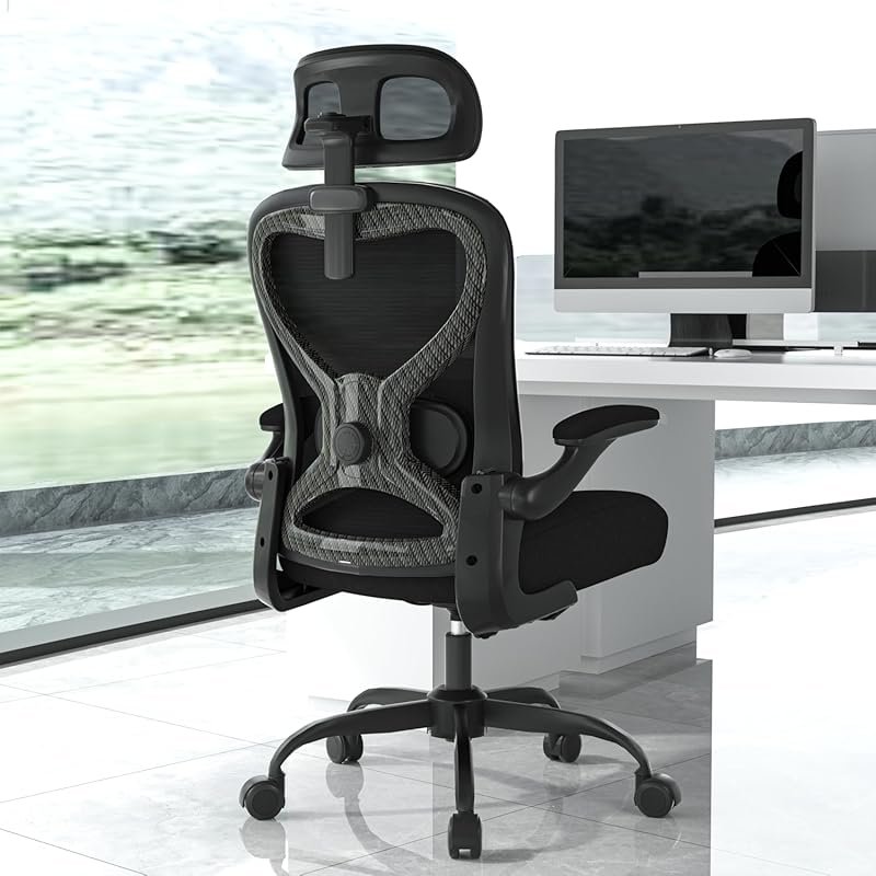 Ergonomic Office Chair for Back and Neck Pain Relief with Adjustable L