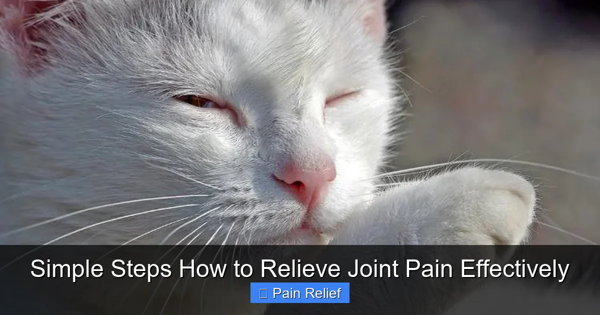 Simple Steps How to Relieve Joint Pain Effectively