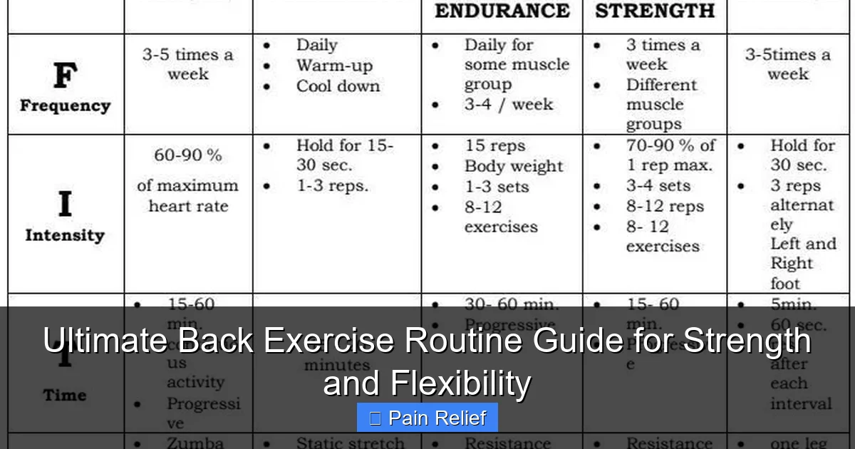 Ultimate Back Exercise Routine Guide for Strength and Flexibility