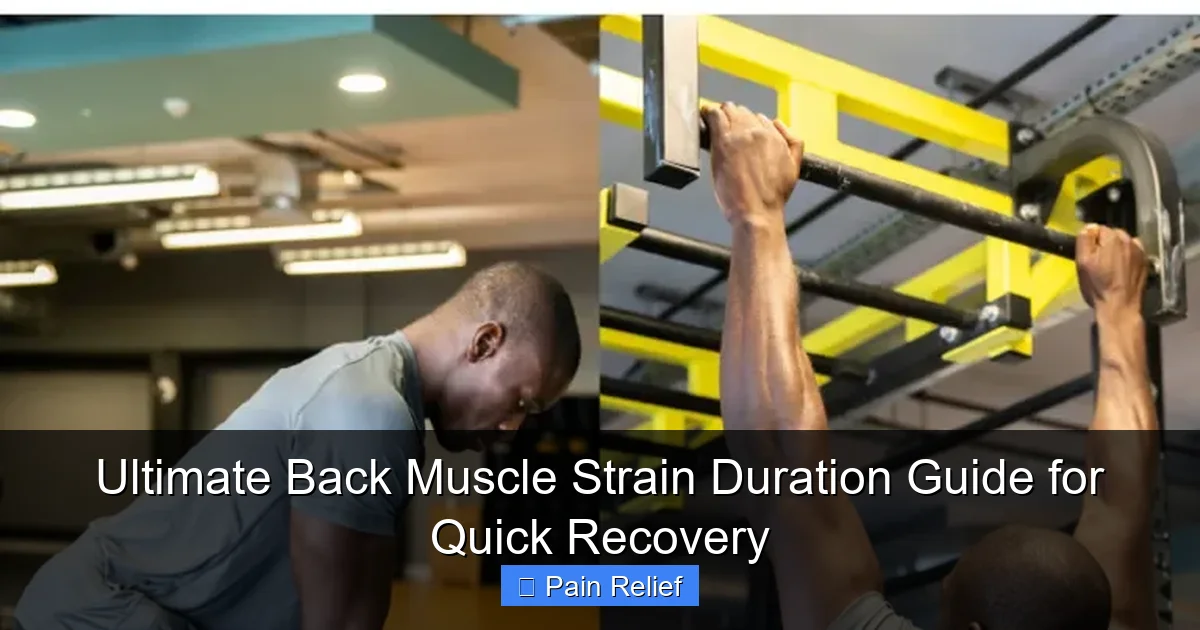Ultimate Back Muscle Strain Duration Guide for Quick Recovery