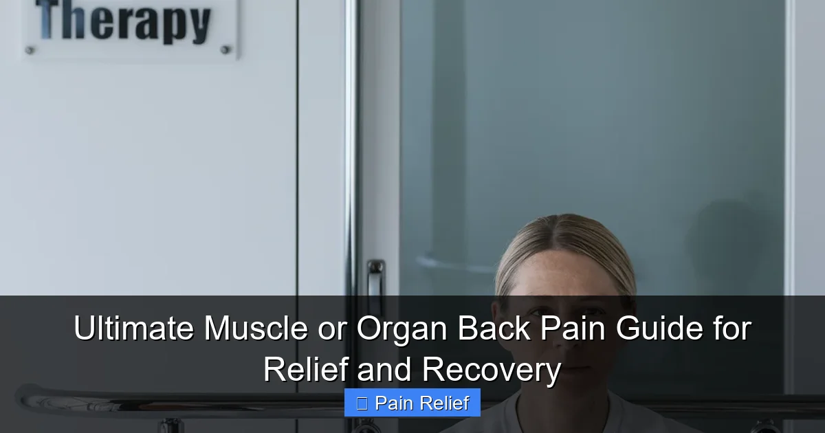 Ultimate Muscle or Organ Back Pain Guide for Relief and Recovery