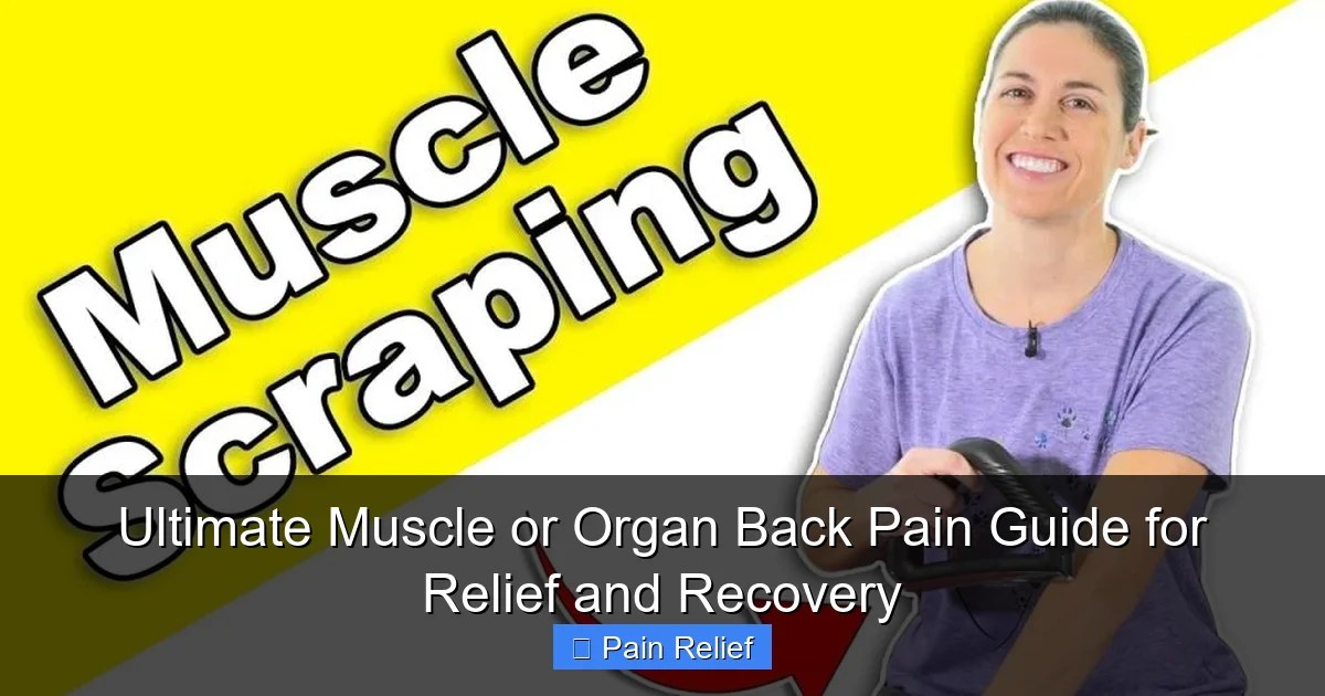 Ultimate Muscle or Organ Back Pain Guide for Relief and Recovery