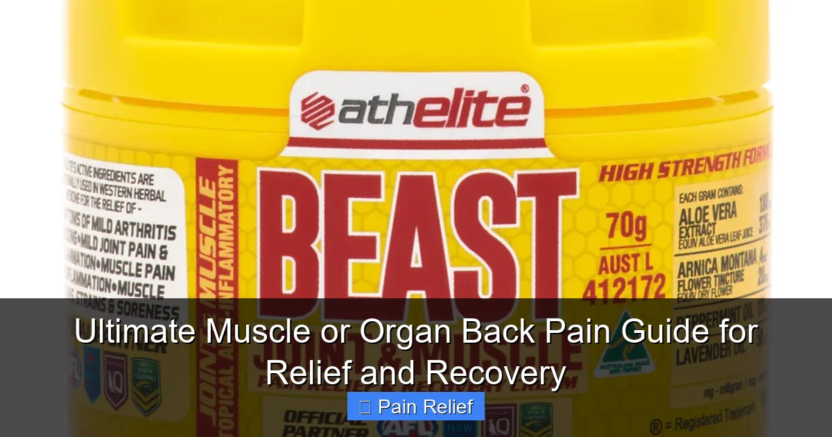 Ultimate Muscle or Organ Back Pain Guide for Relief and Recovery