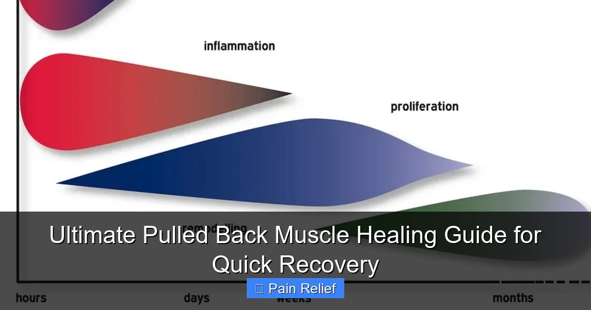 Ultimate Pulled Back Muscle Healing Guide for Quick Recovery