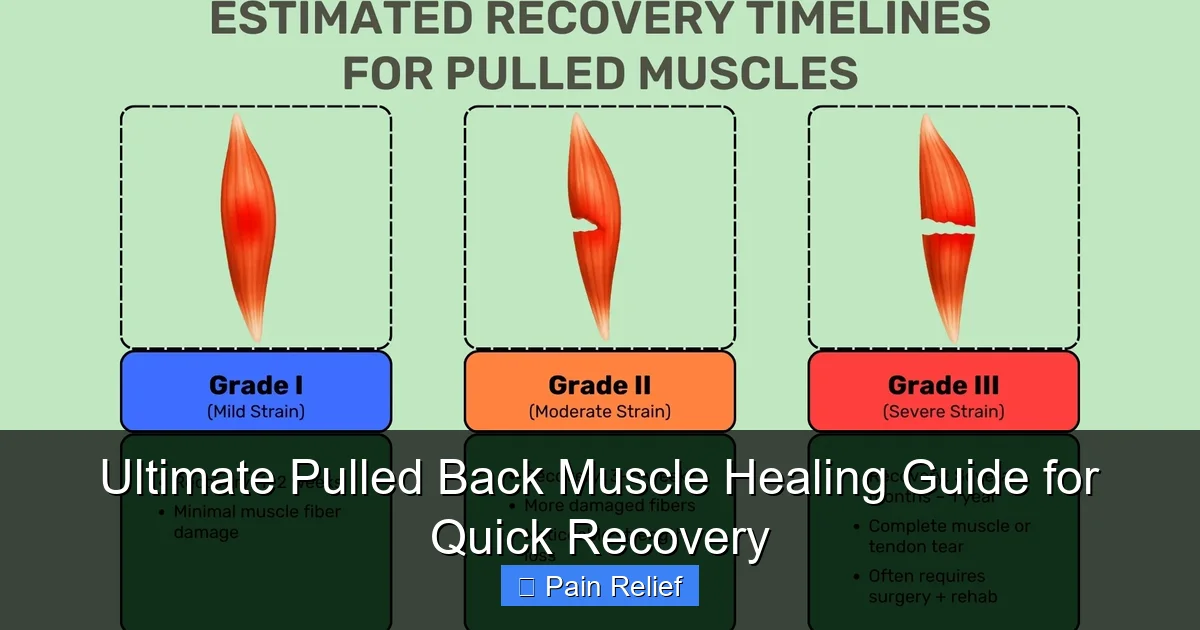 Ultimate Pulled Back Muscle Healing Guide for Quick Recovery
