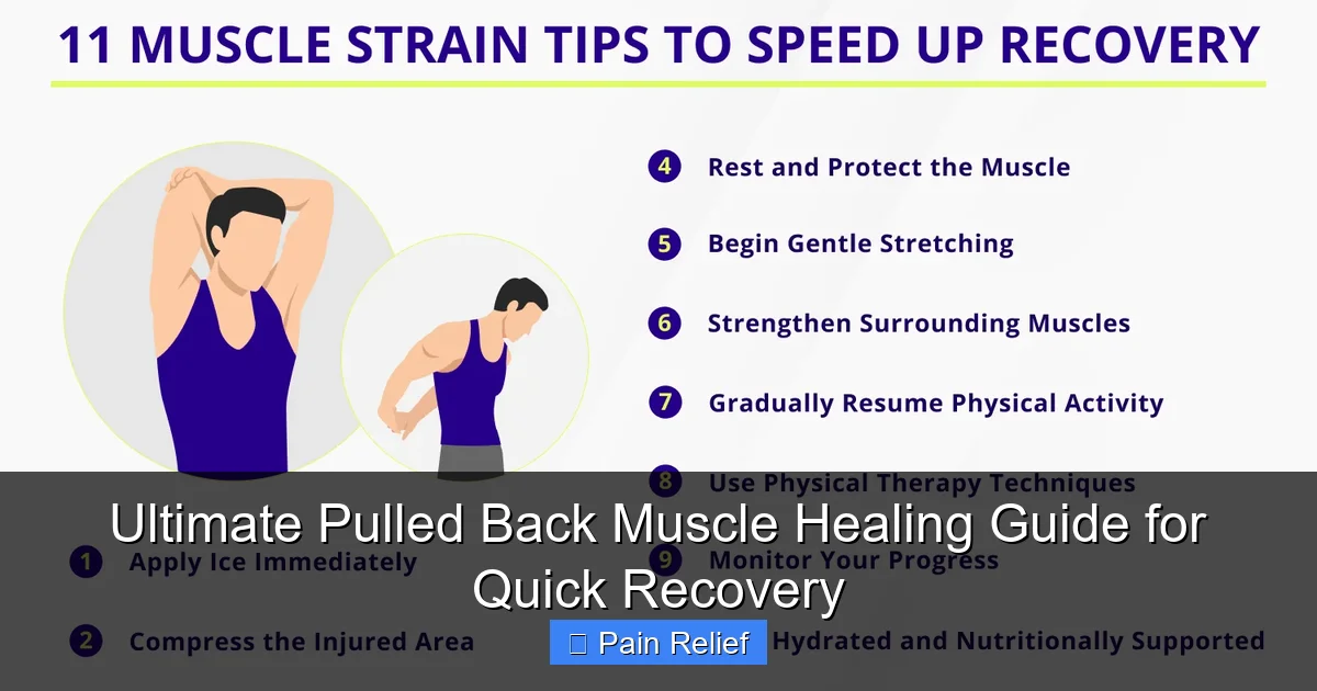 Ultimate Pulled Back Muscle Healing Guide for Quick Recovery