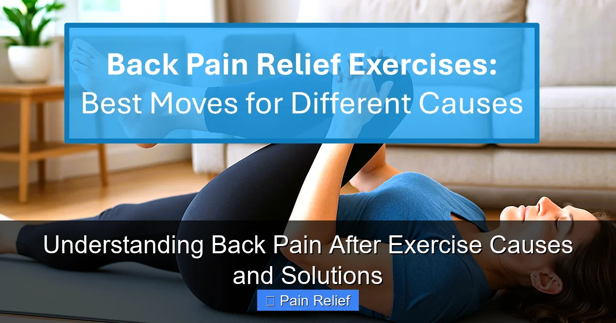 Understanding Back Pain After Exercise Causes and Solutions
