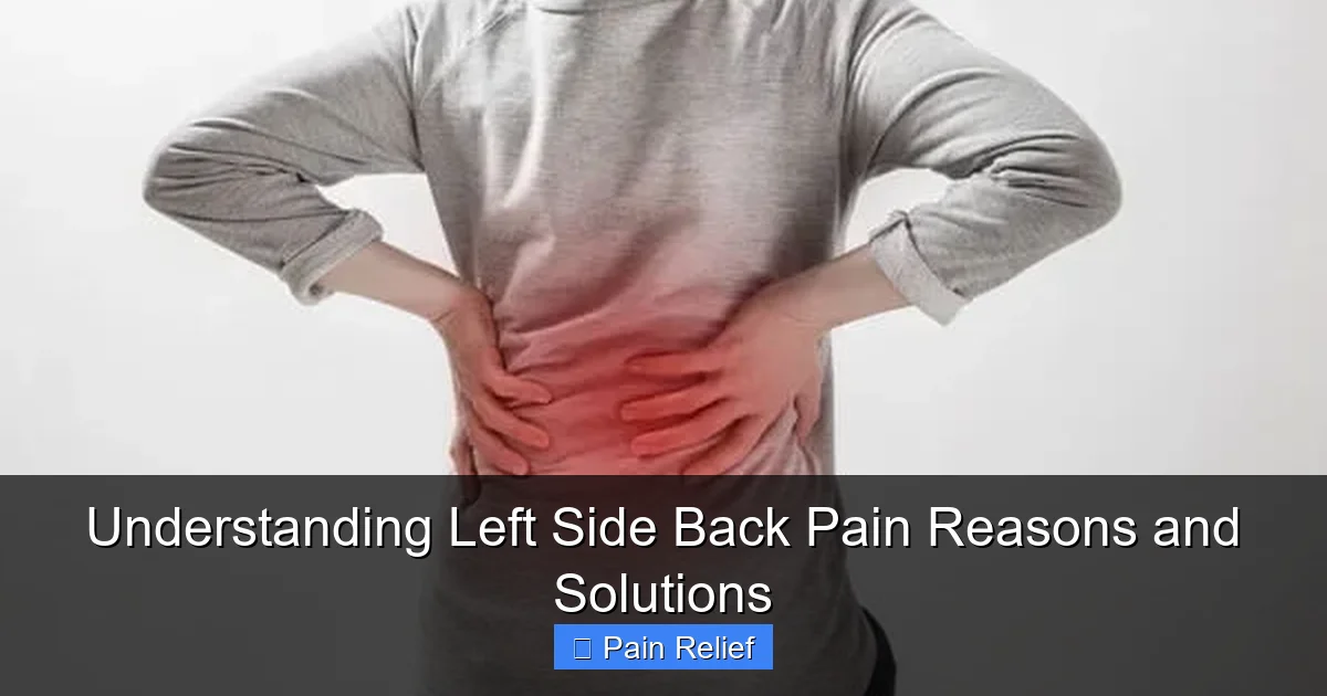 Understanding Left Side Back Pain Reasons and Solutions