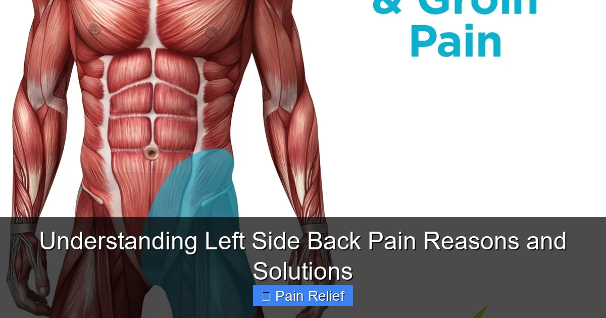 Understanding Left Side Back Pain Reasons and Solutions
