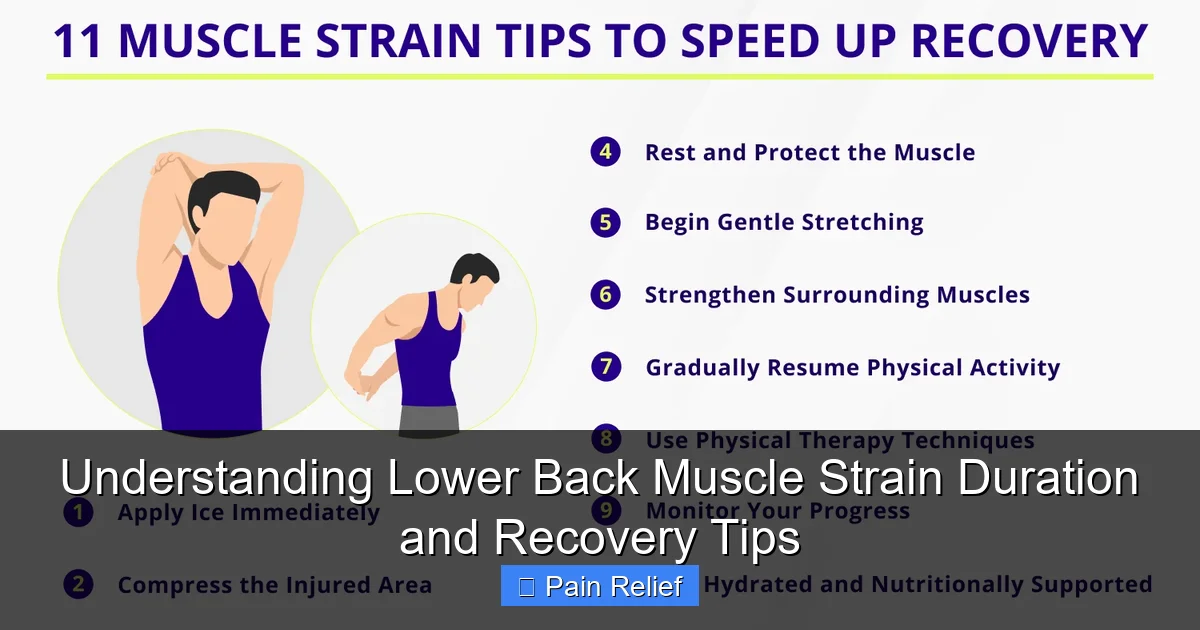 Understanding Lower Back Muscle Strain Duration and Recovery Tips