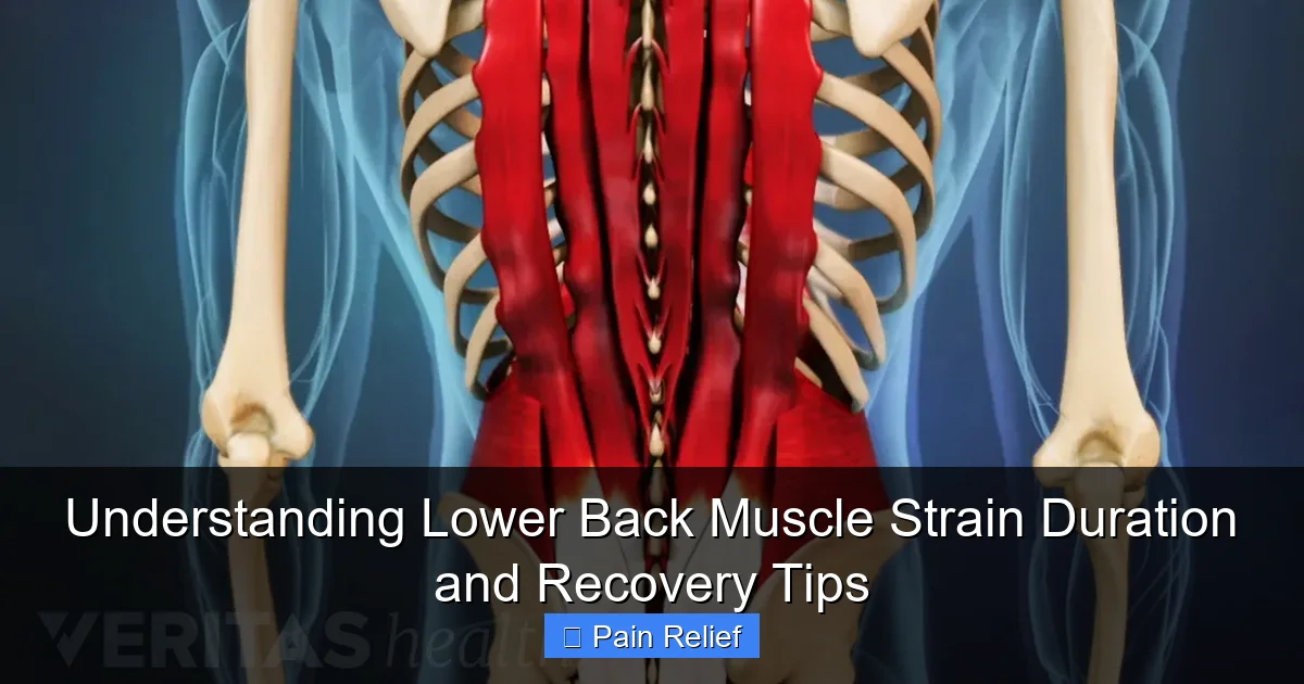 Understanding Lower Back Muscle Strain Duration and Recovery Tips