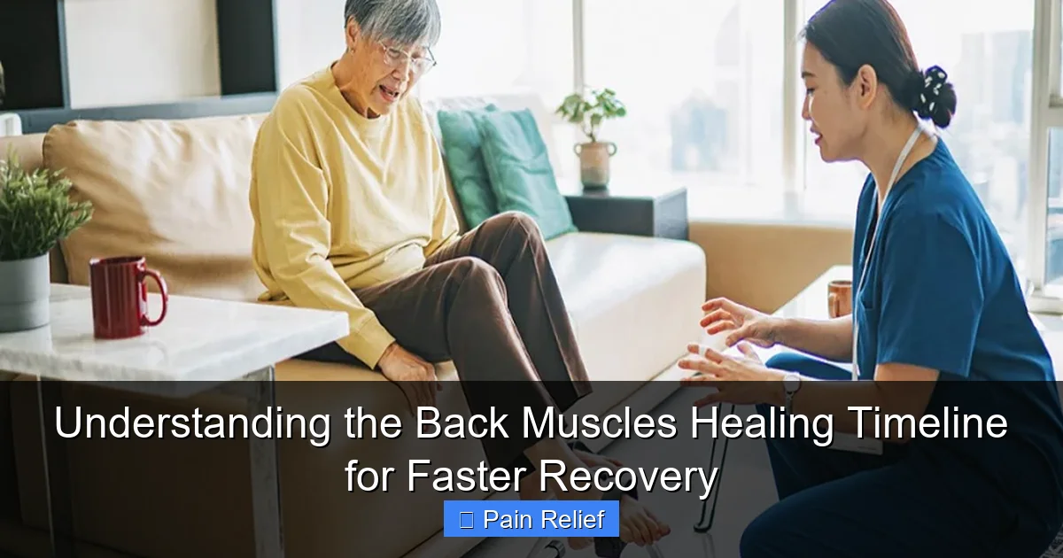 Understanding the Back Muscles Healing Timeline for Faster Recovery