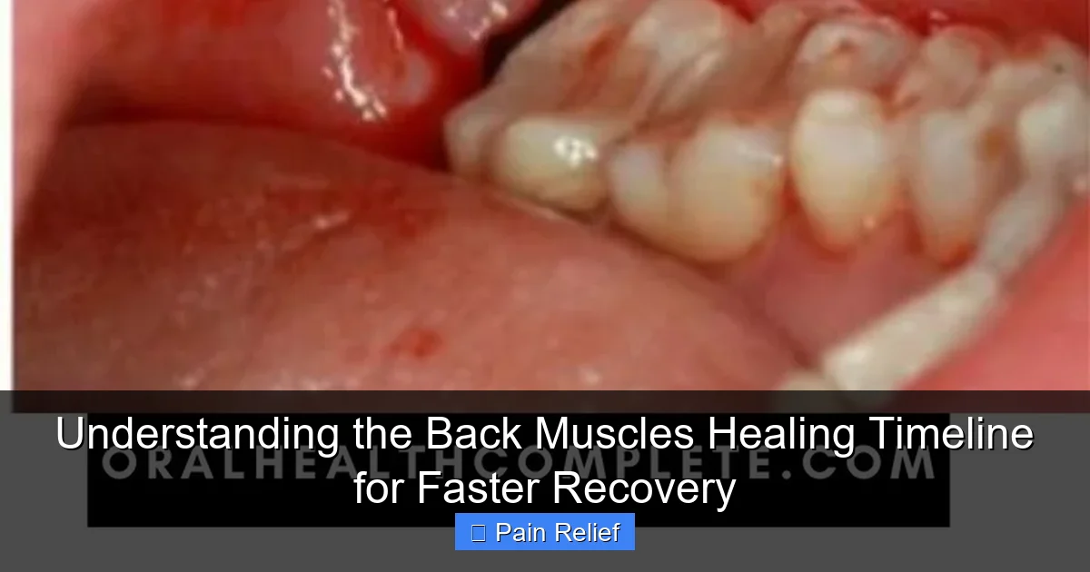 Understanding the Back Muscles Healing Timeline for Faster Recovery