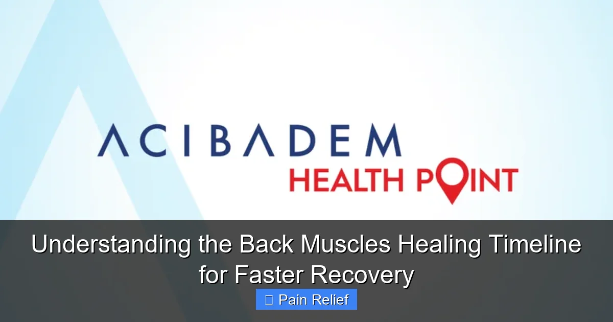 Understanding the Back Muscles Healing Timeline for Faster Recovery