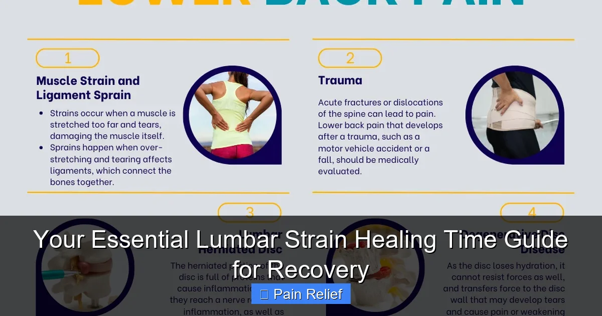 Your Essential Lumbar Strain Healing Time Guide for Recovery