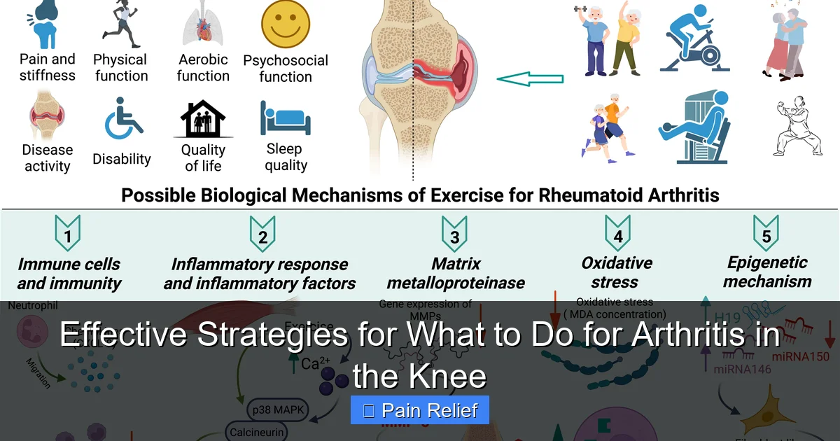 Effective Strategies for What to Do for Arthritis in the Knee