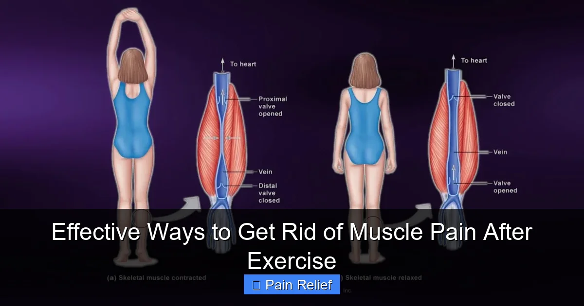 Effective Ways to Get Rid of Muscle Pain After Exercise