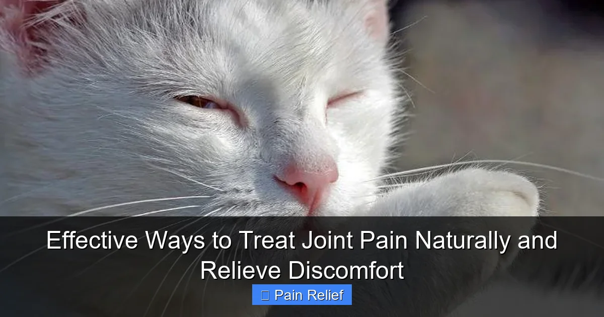 Effective Ways to Treat Joint Pain Naturally and Relieve Discomfort
