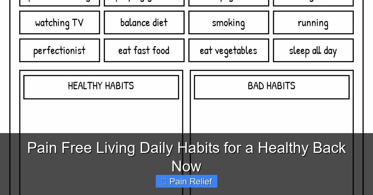 Pain Free Living Daily Habits for a Healthy Back Now