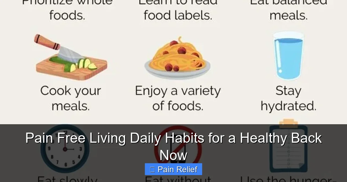 Pain Free Living Daily Habits for a Healthy Back Now