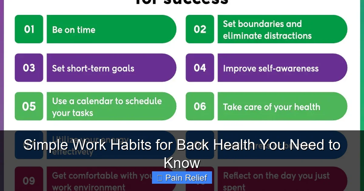 Simple Work Habits for Back Health You Need to Know
